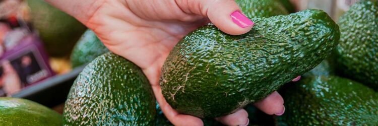 Как правильно выбрать спелый и вкусный авокадо в магазине?