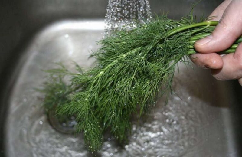 мыть зелень перед заморозкой