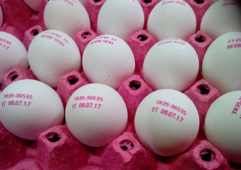 проверить свежесть яиц по маркировке