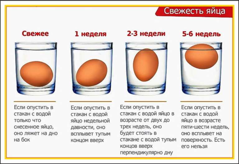 проверка свежести яиц в воде