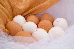 Категории куриных яиц