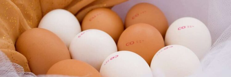 На какие категории делятся яйца и от чего зависит их категория?
