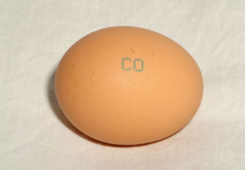 маркировка на яйцах