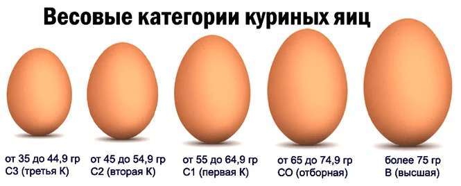 Классификация яиц по категориям