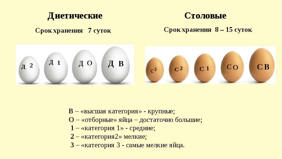 Столовое и диетическое яйцо
