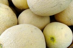 Как правильно выбрать спелую и сладкую дыню