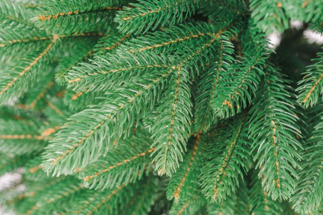 На ветки искусственной ели стоит обратить внимание