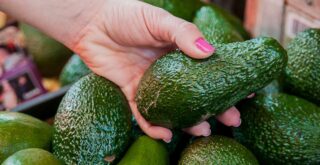 Как выбрать авокадо