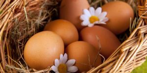 проверить яйца на свежесть