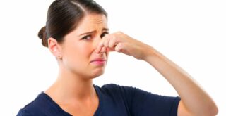 В квартире пахнет канализацией, что делать