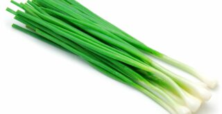Как сохранить зеленый лук на зиму