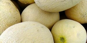 Как правильно выбрать спелую и сладкую дыню